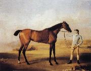 George Stubbs Molly Longlegs with Jockey oil painting picture wholesale